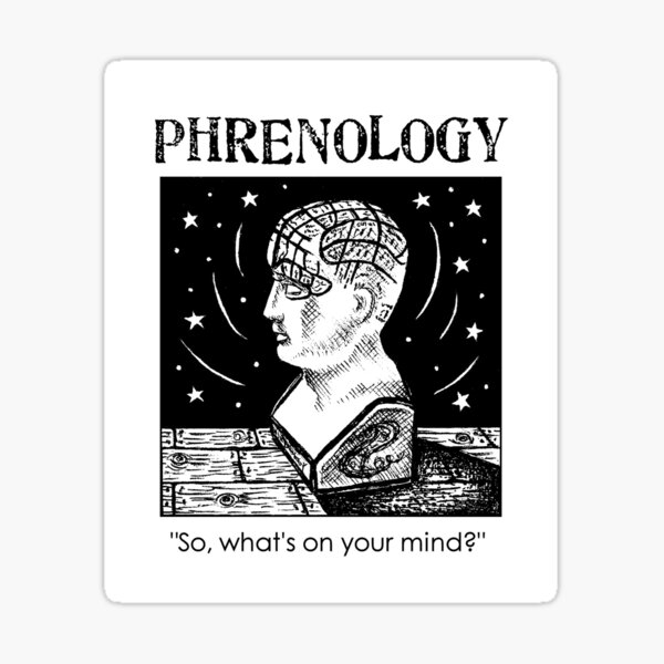Phrenology - so, what's on your mind? Sticker