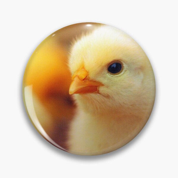 Item preview, Chicks designed and sold by Liz Lane.