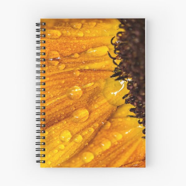 Item preview, Sunflower 7 designed and sold by John Velocci.