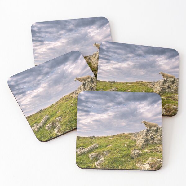 Item preview, scottish sheep designed and sold by Pixelstory.