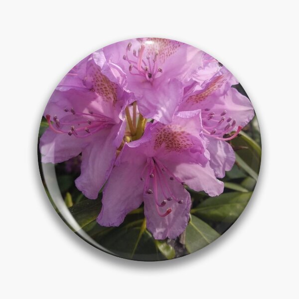 Artikelvorschau, Rhododendron entworfen und verkauft von Ioka.