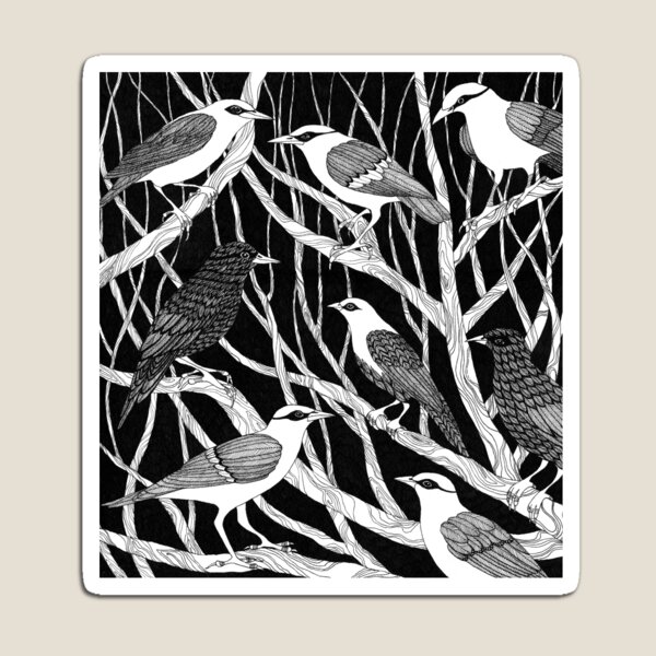 Birds Magnet