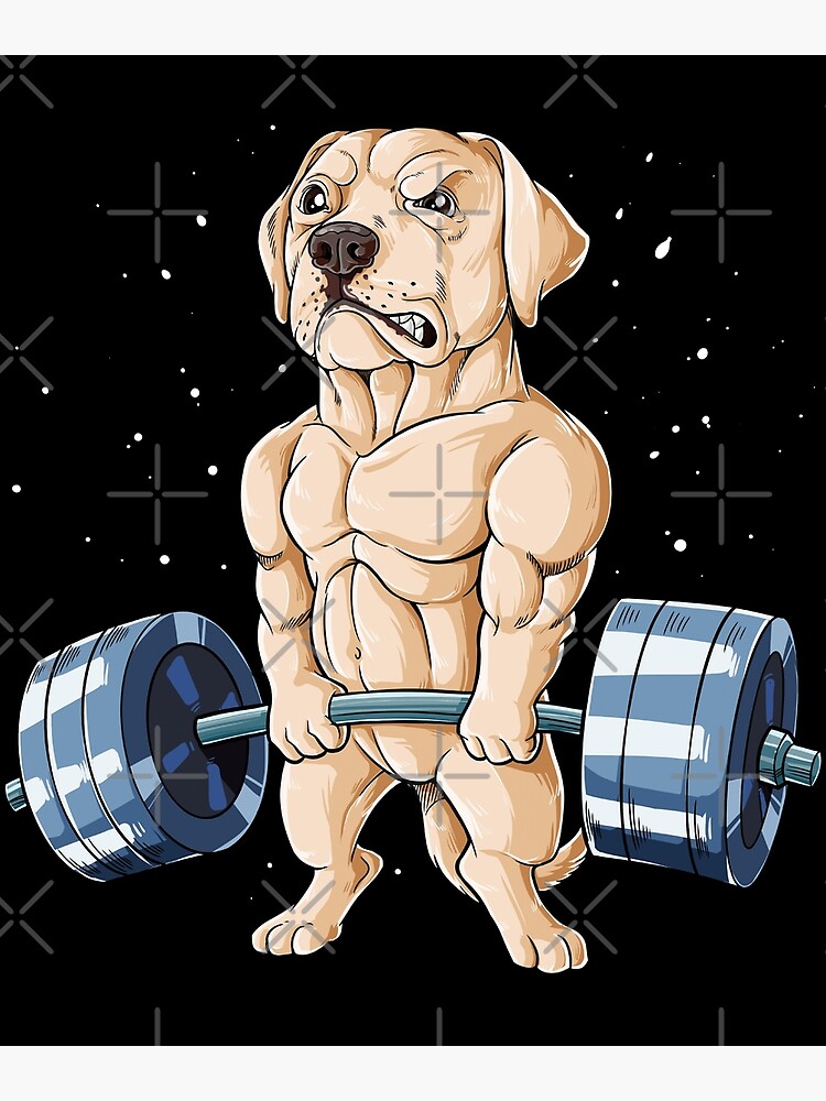 Labrador Weightlifting Shirt for Men Women Boys Girls Kids Dog Lover Gifts  Greeting Card for Sale by LiqueGifts
