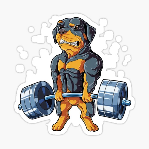 Custom Doberman Weightlifting Shirt For Men Women Boys Girls Kids