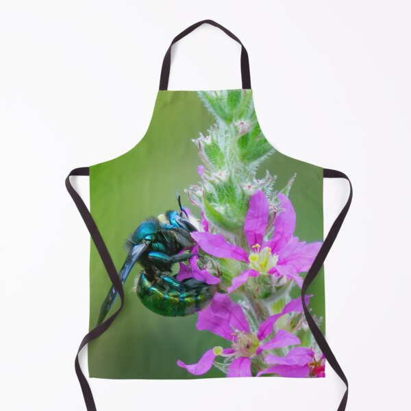 Item preview, Carpenter bee feeding on a purple wildflower. designed and sold by Cornishinoz.