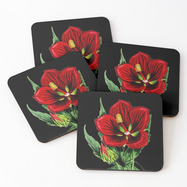 Item preview, Vintage Flower Drawing. A favorite, A Beautiful Red Hibiscus, Vintage Colorful Flower Drawing. Antique Flowers. designed and sold by Orianah.