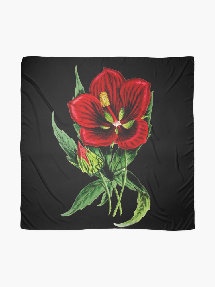 Hibiscus Flower Drawing Stock Illustration - Download Image Now - Art,  Black Color, Blossom - iStock