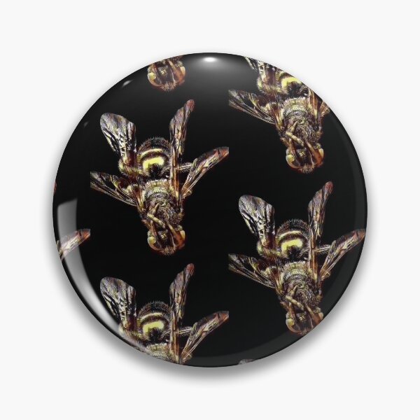 Item preview, Image of a house fly designed and sold by mittie101.