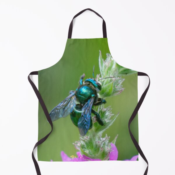 Item preview, Carpenter bee 'waving' on a purple wildflower (2) designed and sold by Cornishinoz.