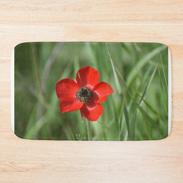Item preview, Anemone Coronaria in Israel designed and sold by DanaLauraPhoto.