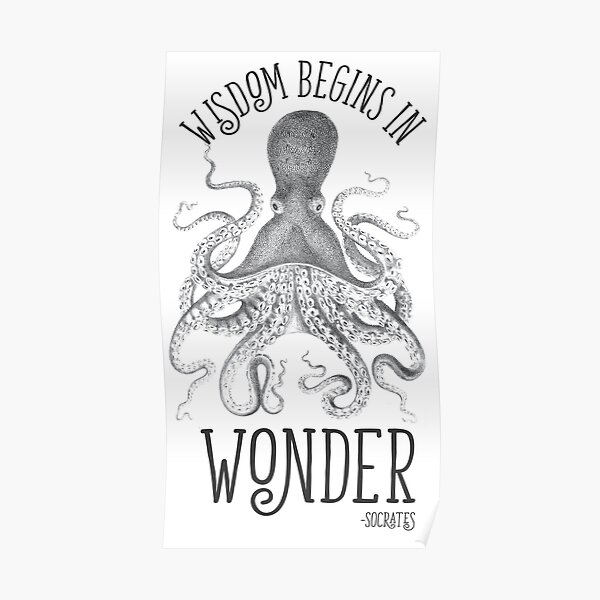 Wisdom Begins in Wonder Poster