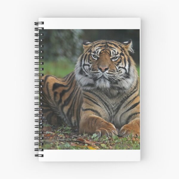 Item preview, Sumatran Tiger designed and sold by aquabella.
