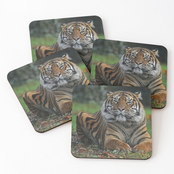 Item preview, Sumatran Tiger designed and sold by aquabella.