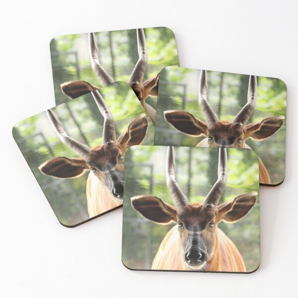 Item preview, Eastern Bongo designed and sold by aquabella.