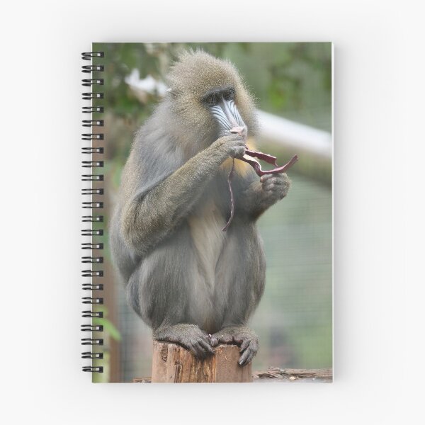 Item preview, Mandrill designed and sold by aquabella.