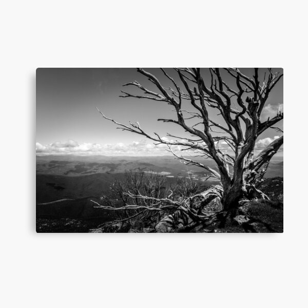 Item preview, Mount Buffalo designed and sold by Christine Wilson.