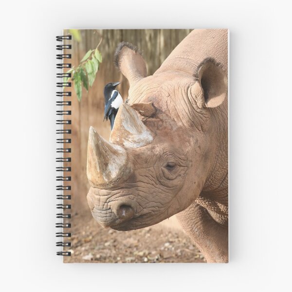Item preview, Rhino + Magpie designed and sold by aquabella.