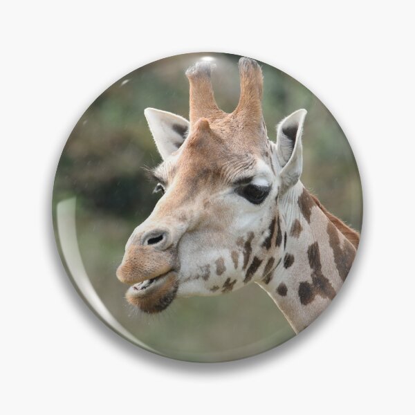Item preview, Northern Giraffe designed and sold by aquabella.