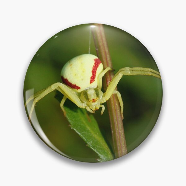 Item preview, Mutable crab spider designed and sold by NW-Photo-Art.
