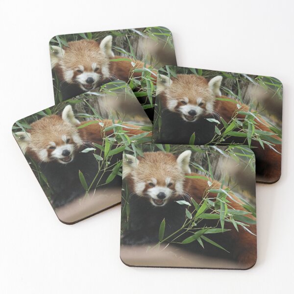 Item preview, Red Panda designed and sold by aquabella.