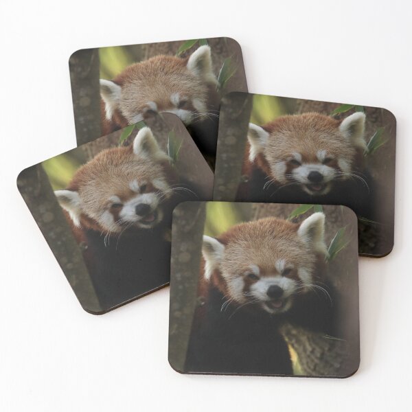 Item preview, Red Panda designed and sold by aquabella.