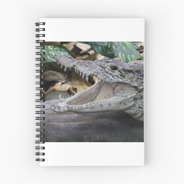 Aperçu de l'œuvre Crocodile cubain créée et vendue par aquabella.
