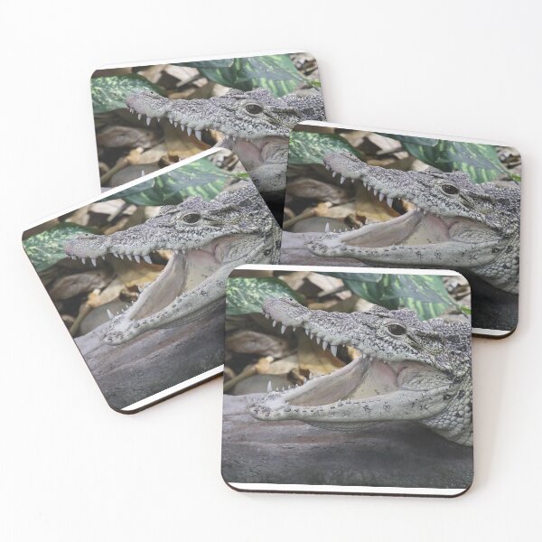 Item preview, Cuban Crocodile designed and sold by aquabella.