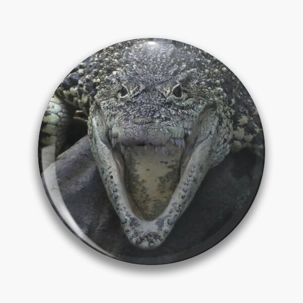 Item preview, Cuban Crocodile designed and sold by aquabella.