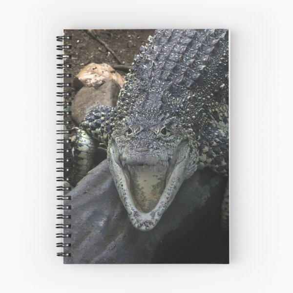 Item preview, Cuban Crocodile designed and sold by aquabella.