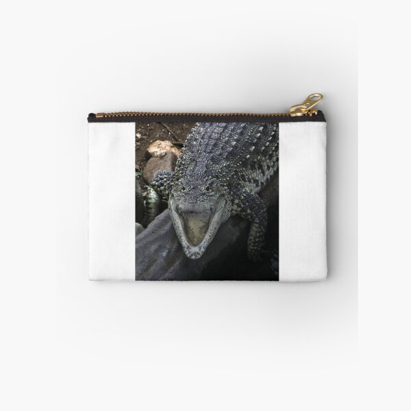 Item preview, Cuban Crocodile designed and sold by aquabella.