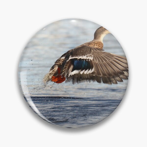 Item preview, The great escape II designed and sold by GreyFeatherPhot.
