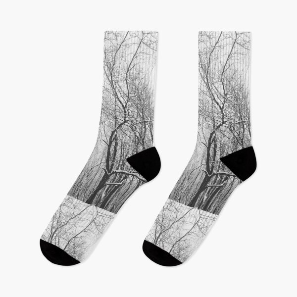 Item preview, Bare winter forest covered with thick snow, natural background  designed and sold by helenkaiy.