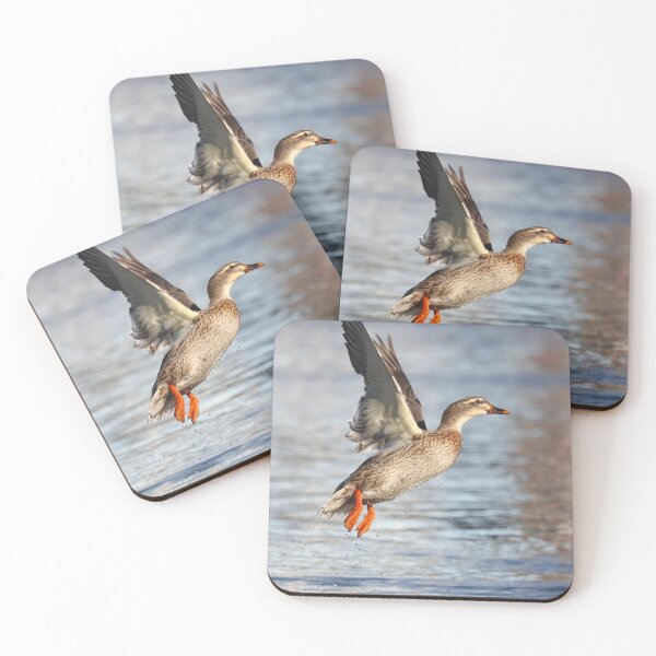 Item preview, Mallard flyby designed and sold by GreyFeatherPhot.