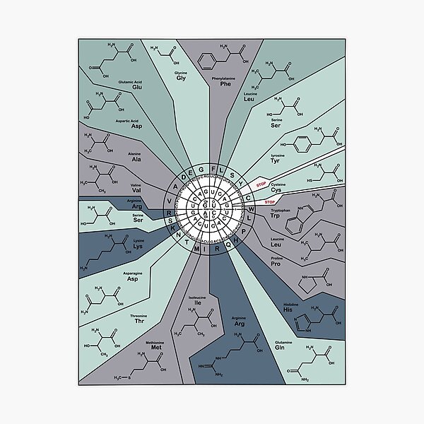 Item preview, Genetic Code Diagram - Blue  designed and sold by jenscottiepow.