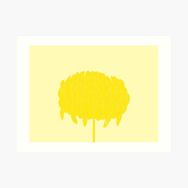 Chrysanthemum Art Print