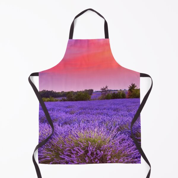 Aperçu de l'œuvre Provence - Champs de Lavandes- Soleil couchant créée et vendue par Olympique1359.