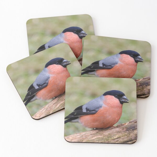 Item preview, Stunning Bright Chested Bullfinch Eating Seeds in the Garden designed and sold by rosiebeeston.
