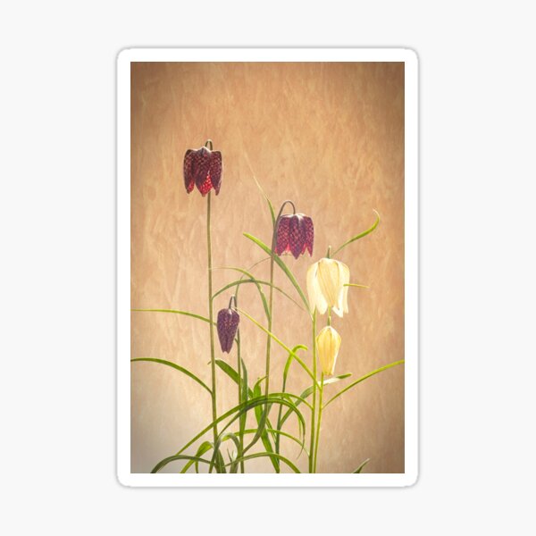 Snake's Head Fritillaries Sticker
