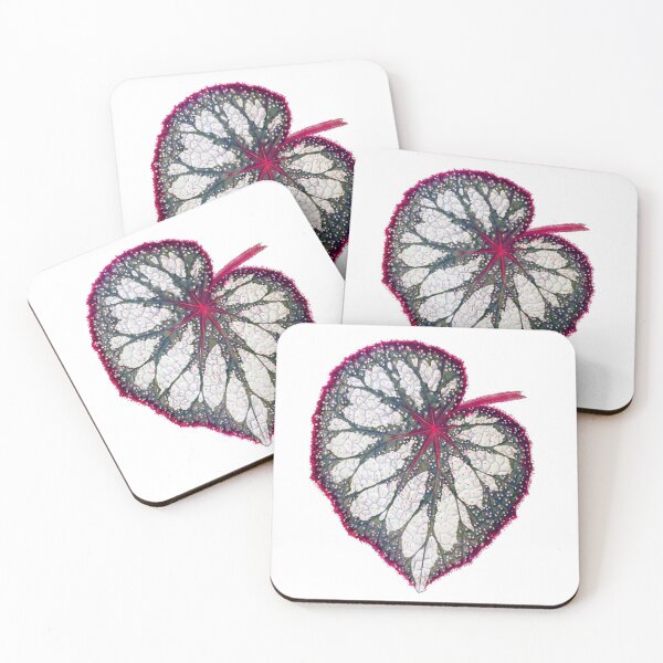 Item preview, Begonia rex designed and sold by Ecologos.