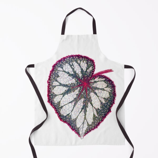 Item preview, Begonia rex designed and sold by Ecologos.