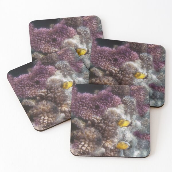 Red Sea Coral Reefs Are Doing Well Coasters (Set of 4)