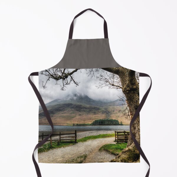 Item preview, Brothers Water Oak Tree, Cumbrian Lake District designed and sold by Paul Thompson Photography.