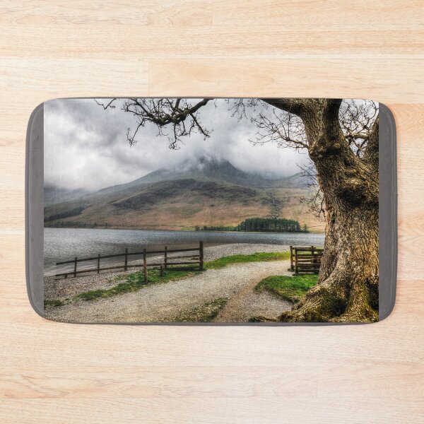 Item preview, Brothers Water Oak Tree, Cumbrian Lake District designed and sold by Paul Thompson Photography.