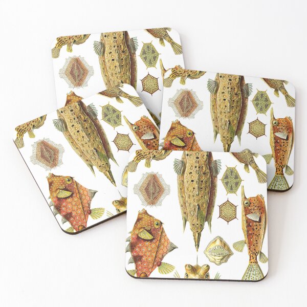 Item preview, Haeckel's Ostraciontes (boxfish) designed and sold by Ecologos.