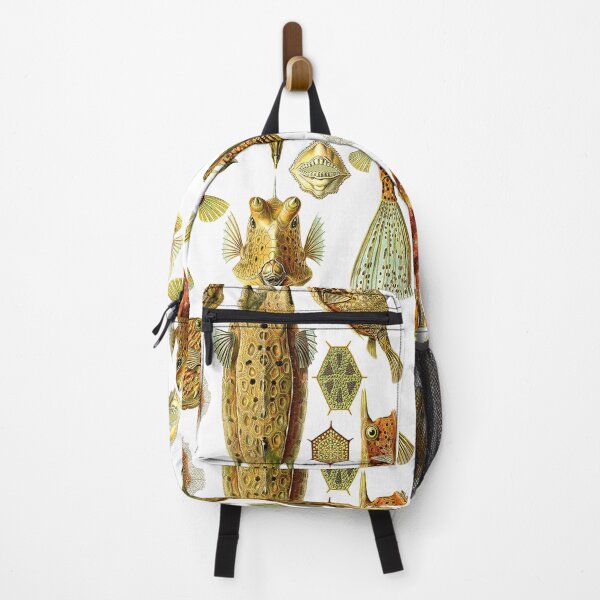 Item preview, Haeckel's Ostraciontes (boxfish) designed and sold by Ecologos.