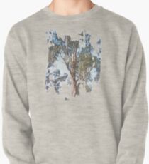 Eucalyptus Pullover