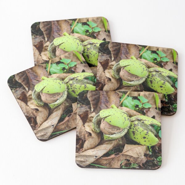 Item preview, Walnut fruit in a green shell designed and sold by Mahirov Shop.