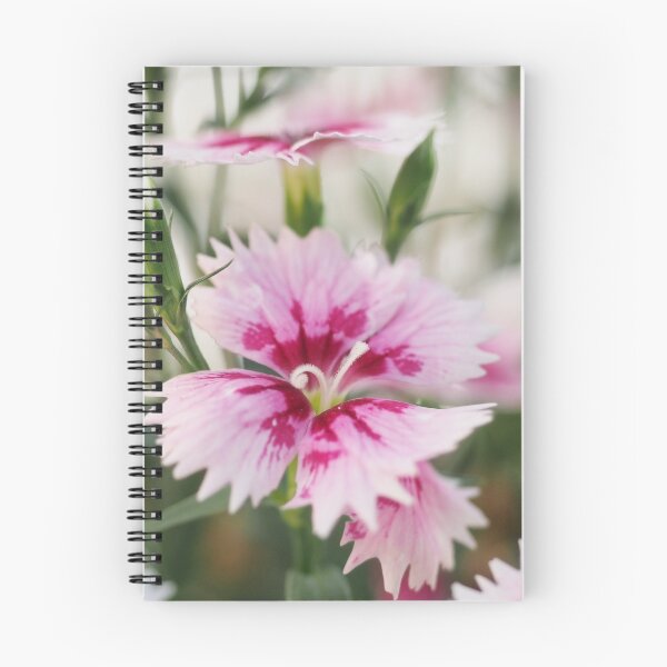 Item preview, Dianthus designed and sold by Karen E Camilleri.