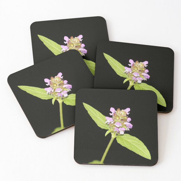 Item preview, Little Braunelle designed and sold by NW-Photo-Art.