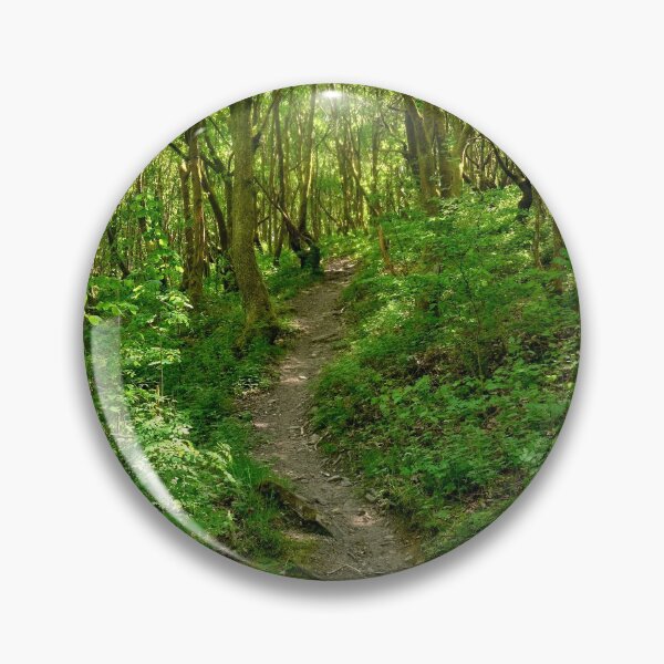 Item preview, A walk in the woods designed and sold by VnGphoto.